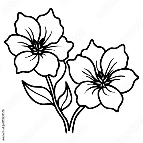 Two Lechenaultia Flowers on White