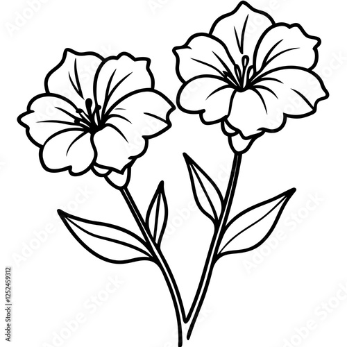 Two Lechenaultia Flowers on White