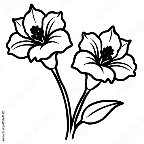 Two Lechenaultia Flowers on White