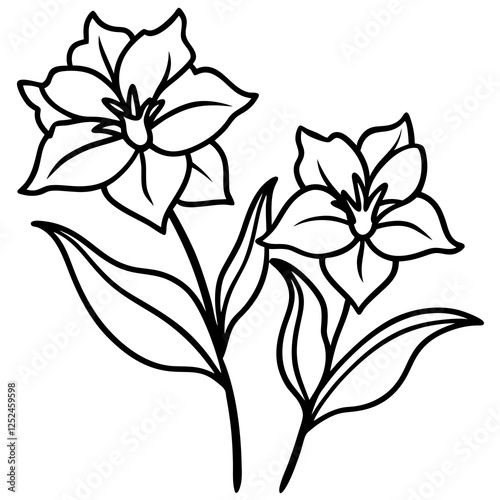 Two Lechenaultia Flowers on White