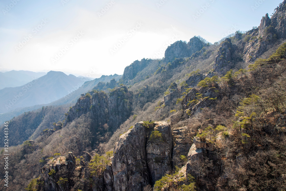 Naklejka premium 대둔산