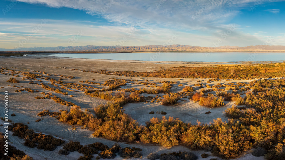 Panoramic view of the decaying Salton Sea Beach at Sunset Panoramic view of the decaying Salton Sea Beach at Sunset