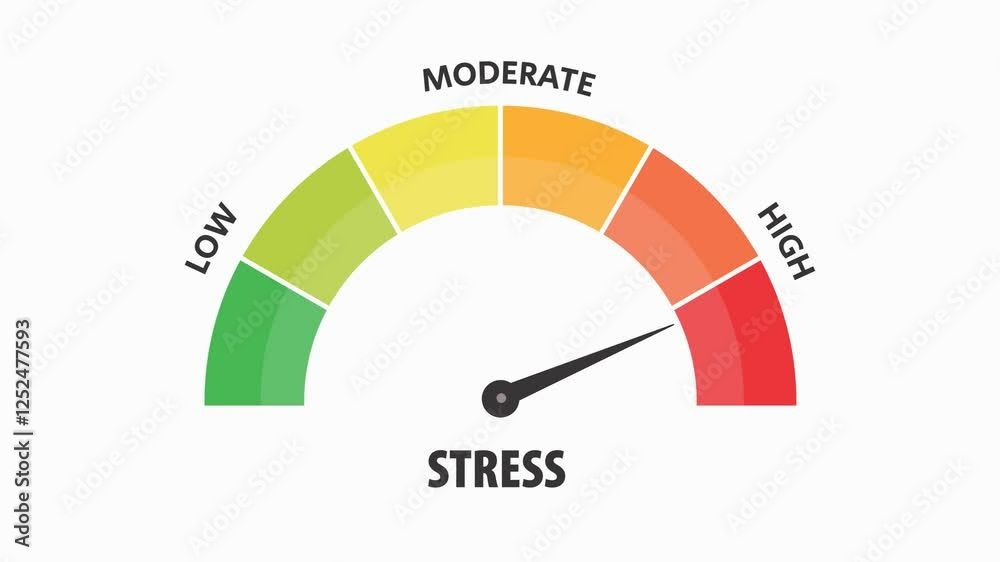 Stress scale level meter test animation 