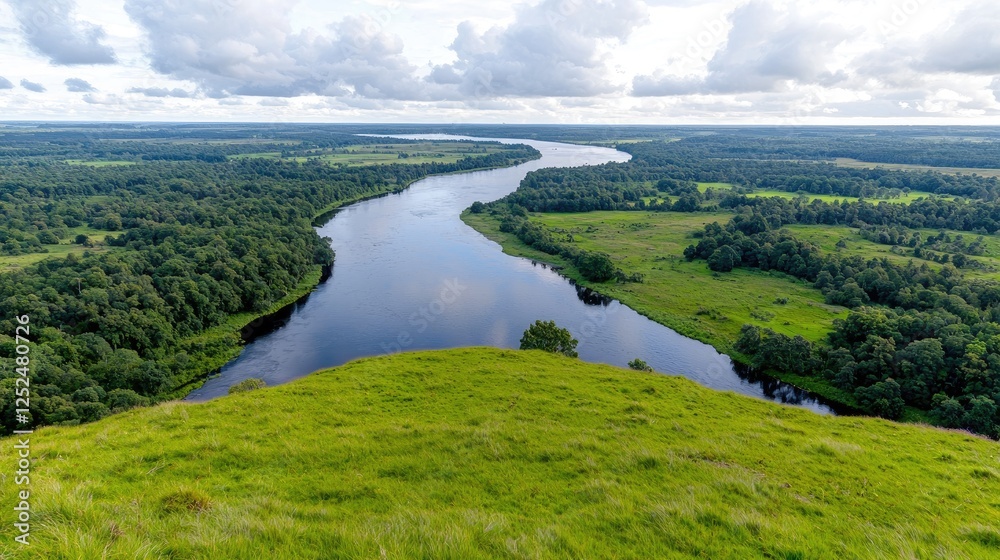 Fototapeta premium River bends through green landscape, aerial view