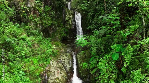 small waterfall in the forest