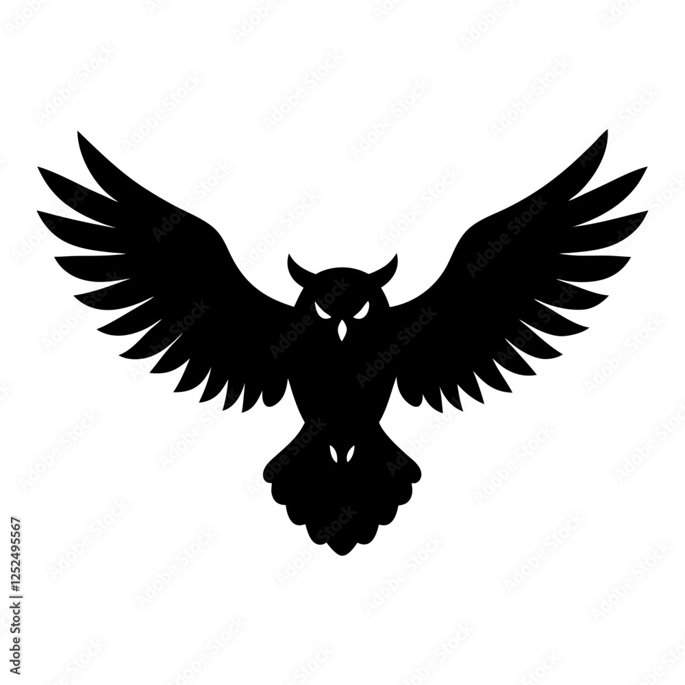 Obraz premium owl on a black background