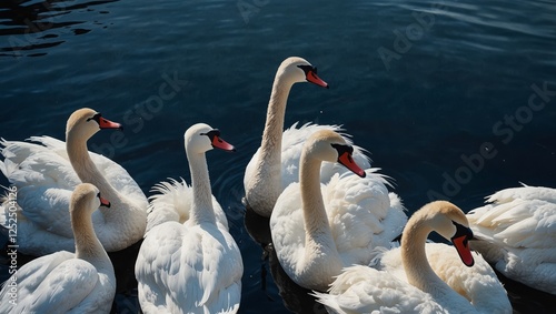  A peaceful top view of a group of swans scattered across tranquil blue water