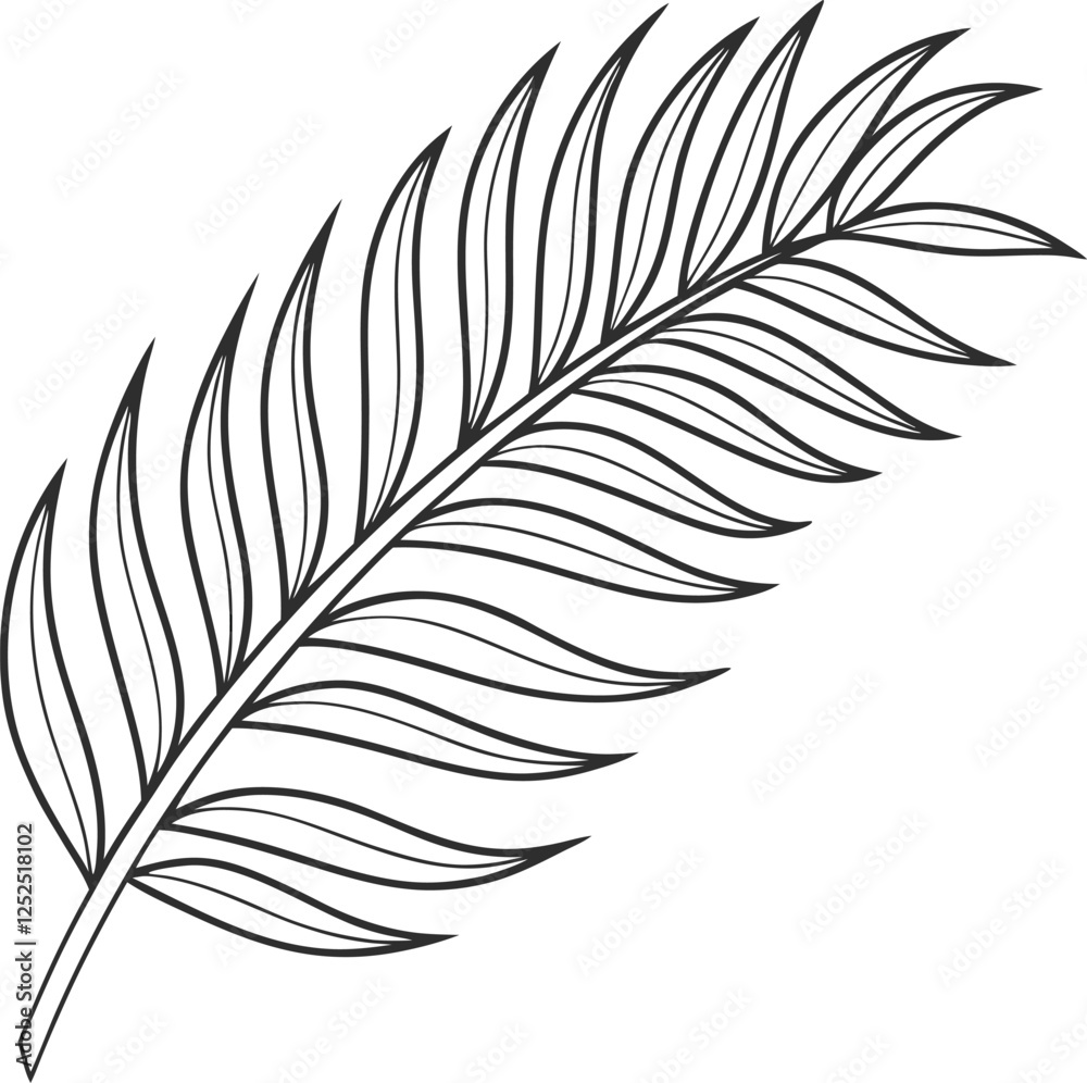 Elegant Single Palm Frond Line Art Tropical Botanical Illustration Elegant Single Palm Frond Line Art Tropical Botanical Illustration