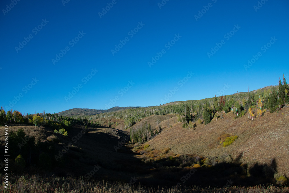 Fototapeta premium Hillsides in rural Colorado