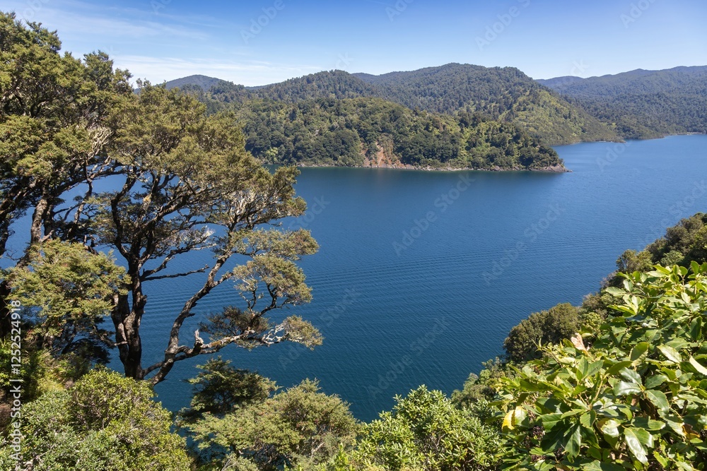 Tranquil Lake Waikaremoana nestled amongst lush green hills. Scenic view from a high vantage point. Nature's beauty.Te Urewera National Park, Hawkes Bay, New Zealand Tranquil Lake Waikaremoana nestled amongst lush green hills. Scenic view from a high vantage point. Nature's beauty.Te Urewera National Park, Hawkes Bay, New Zealand