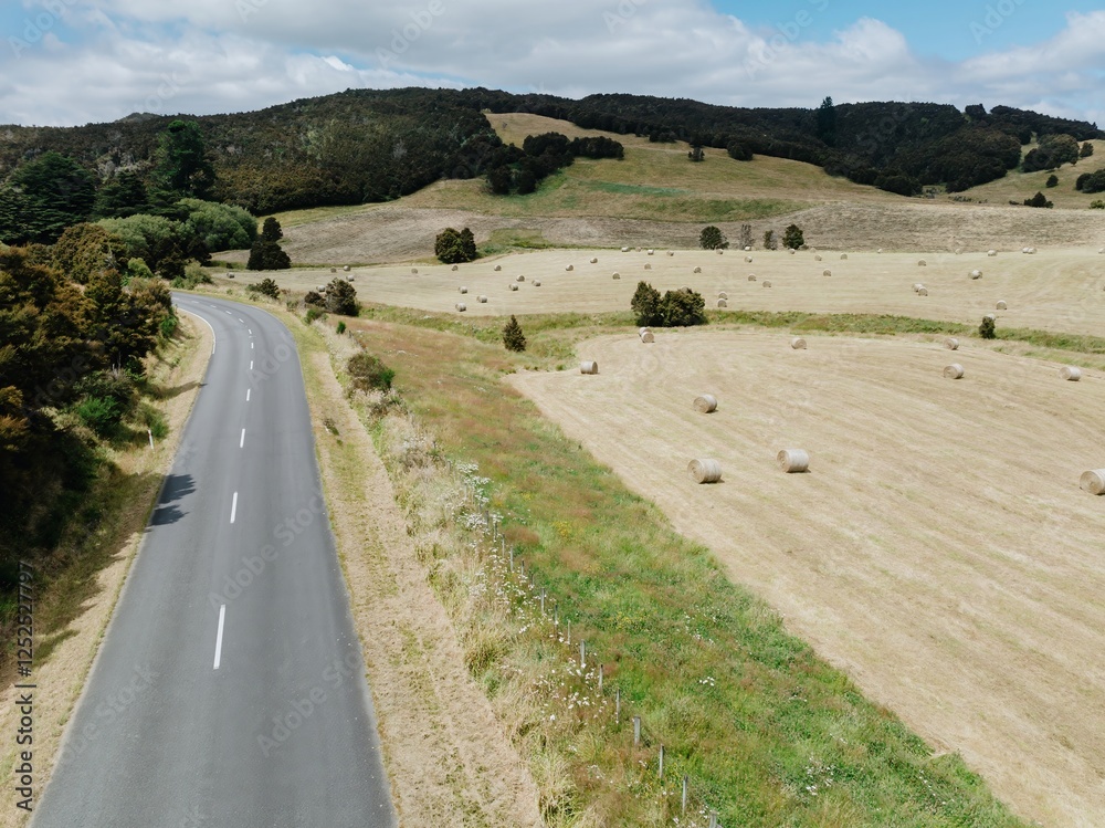 Rural road winds through a field of hay bales. A scenic country landscape. Ngamahango, Taihape, Hawke's Bay, New Zealand Rural road winds through a field of hay bales. A scenic country landscape. Ngamahango, Taihape, Hawke's Bay, New Zealand