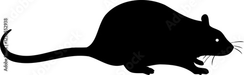 Rat Nature Vector Illustration Black Silhouette on White Background