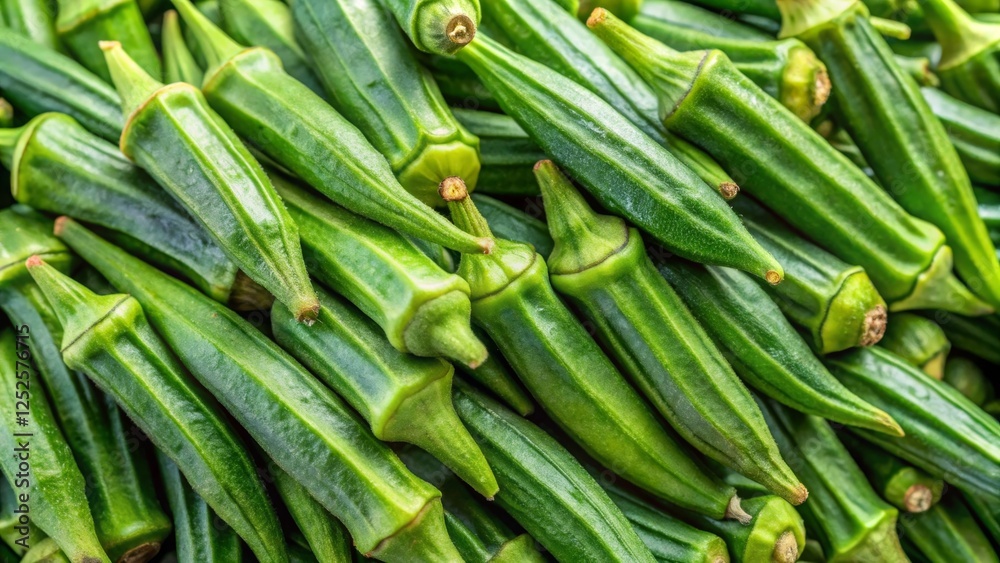 Harvesting fresh okra pods a close-up view of deep green vegetables in a lush garden setting Harvesting fresh okra pods a close-up view of deep green vegetables in a lush garden setting
