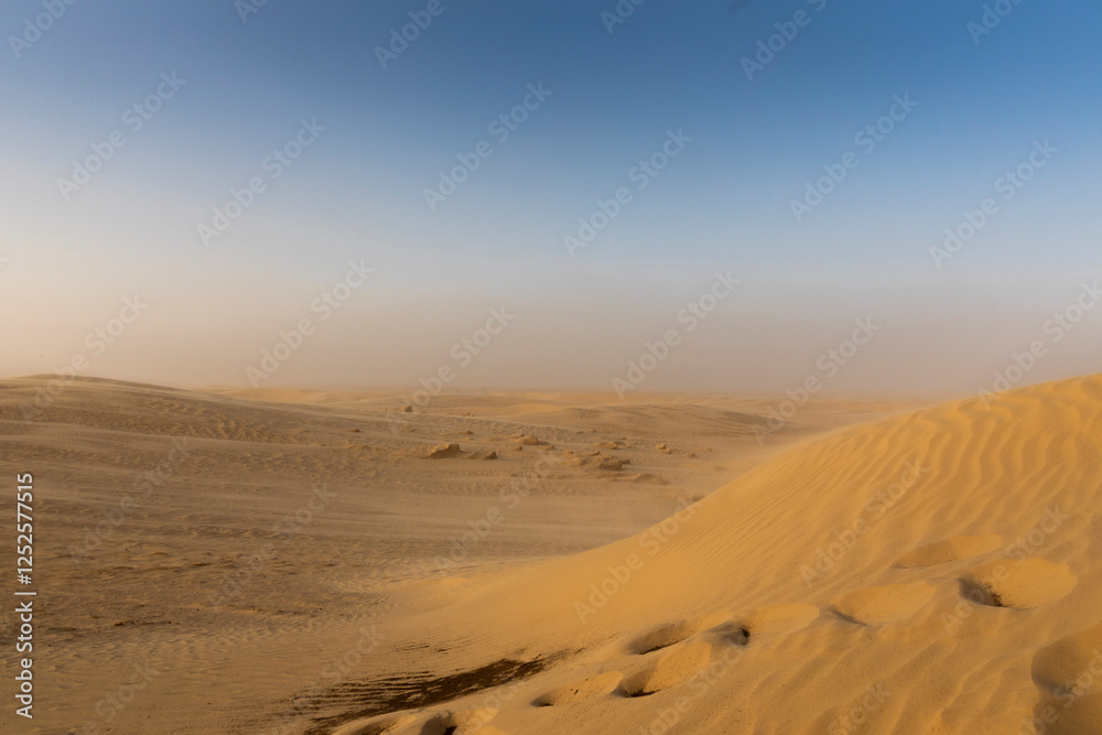 Rolling sand dunes of the top of the Sahara desert Rolling sand dunes of the top of the Sahara desert