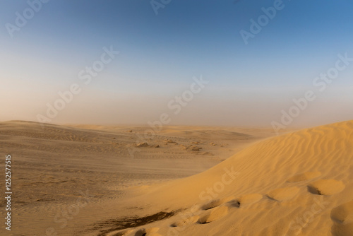 Fototapeta Naklejka Na Ścianę i Meble -  Rolling sand dunes of the top of the Sahara desert