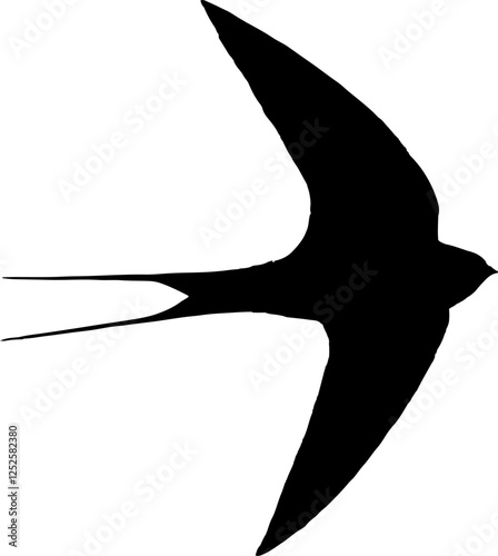 Swallow brid Black Vector Silhouette on White Background
