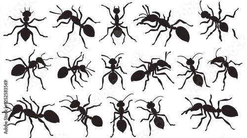 Collection of Black Ant Silhouettes: A Diverse Array of Insect Poses