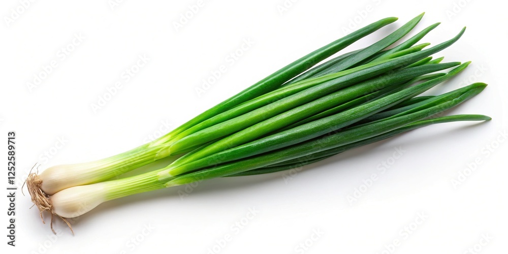 Green Onion Isolated on White Background, Flat Lay, Top View Green Onion Isolated on White Background, Flat Lay, Top View