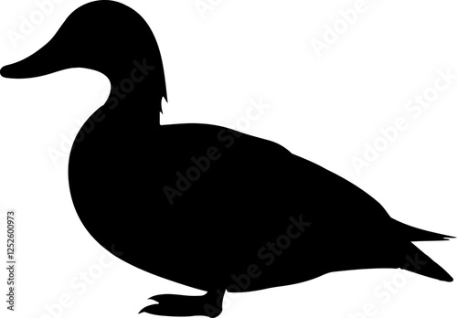 Wild Duck Mallard brid Black Vector Silhouette on White Background