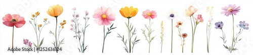 Wallpaper Mural Watercolor wildflower bouquet, floral design, white background, greeting card Torontodigital.ca