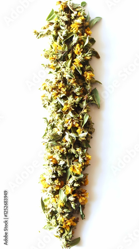 Dried Flower Illustration B...