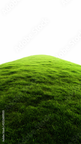 Green Grass Hilltop Illustr...