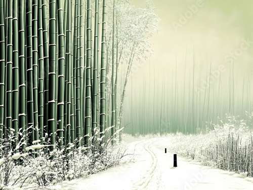 Snowy Bamboo Forest Path Il...