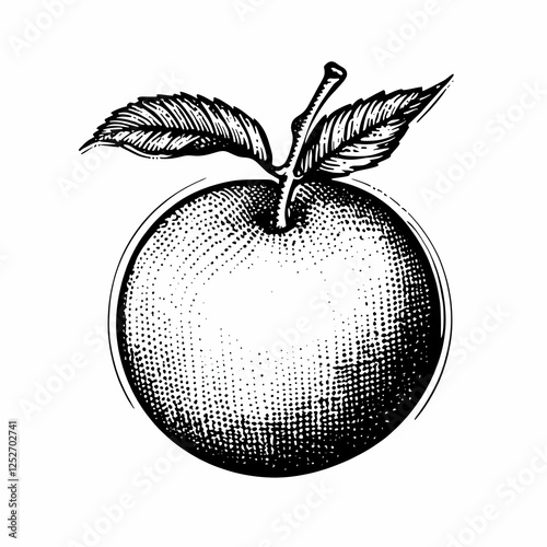 Black and White Apple Illus...