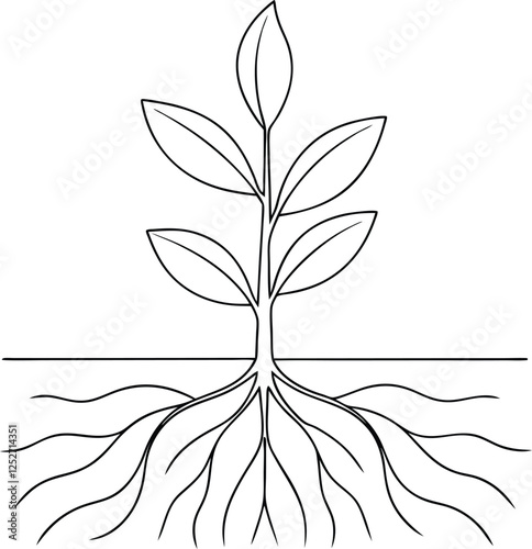 Simple Line Drawing of a Growing Plant with Roots