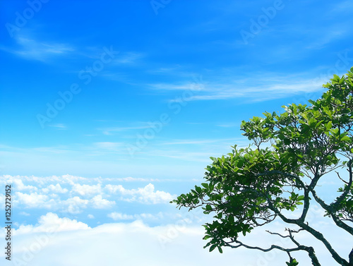 Serene Sky, Lush Greenery I...