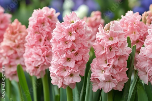 Bright pink flowers bloom in a vibrant garden setting during spring season