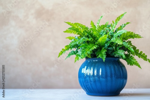 Green fern in a decorative blue vase against a textured gray background