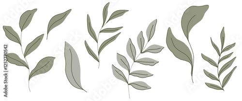 Hand drawn botanical set of green leaves in minimalist modern style. Soft muted colors and delicate lines. Ideal for branding, packaging, textile design, wedding invitations, digital prints, decor