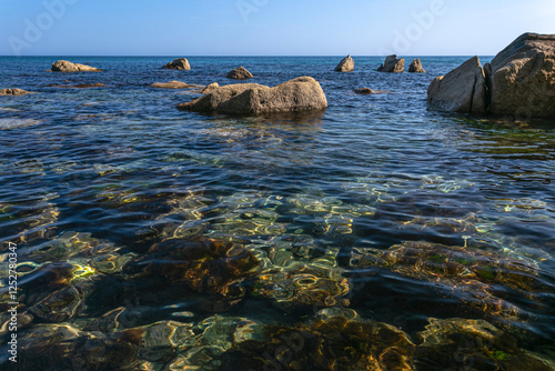 A shoal by the sea