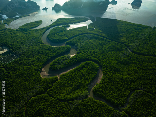 Amazing abundant mangrove forest, Aerial view of forest trees Rainforest ecosystem and healthy environment background, Texture of green trees forest top down, High angle view