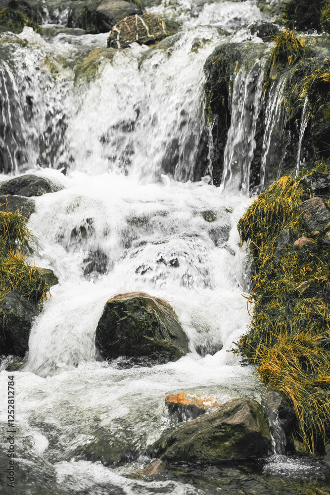 Fototapeta premium Water cascades over smooth stones, creating a soothing sound in this serene mountain setting. Lush green moss highlights the natural beauty of the environment.