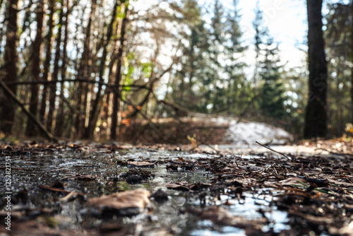 sentier de forêt geler en hiver photo