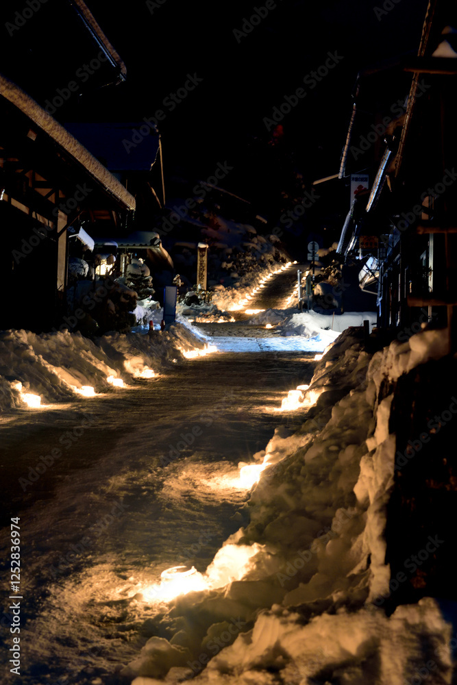 Fototapeta premium 氷雪の灯祭り