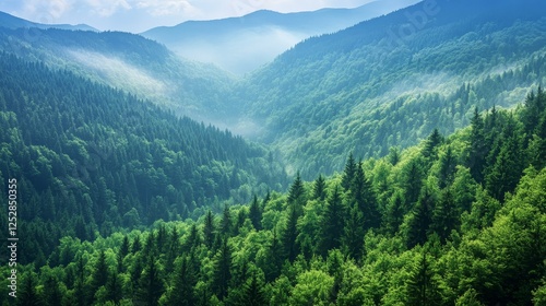Lush Green Forest Landscape in Misty Mountain Valley Under Soft Blue Sky