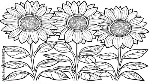 Wallpaper Mural Elegant sunflower line art in black-and-white showcasing intricate petal and leaf designs in a natural and decorative composition.
 Torontodigital.ca