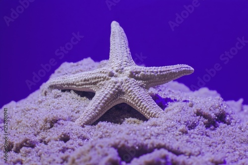 Starfish resting on a sand dune with purple background photo