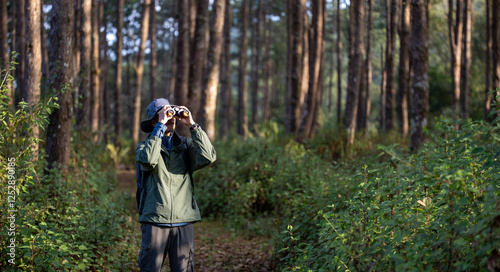 Bird watcher is looking through binoculars while exploring in the pine forest for surveying and discovering the rare biological diversity and ecologist on the field study