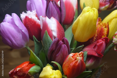 a bunch of  closeup blooming tulips with different varieties and colors, including yellow, pink, red, white, orange, purple