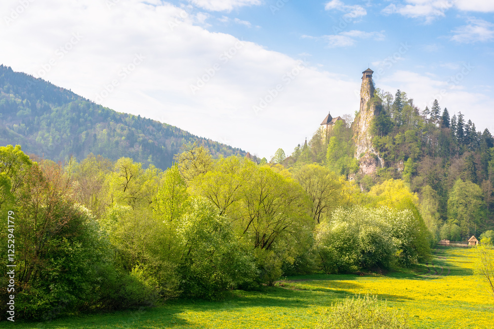 medieval orava castle of slovakia, europe. travel landmark. high tower above landscape with trees and meadow in spring. sunny day. nature in blossom