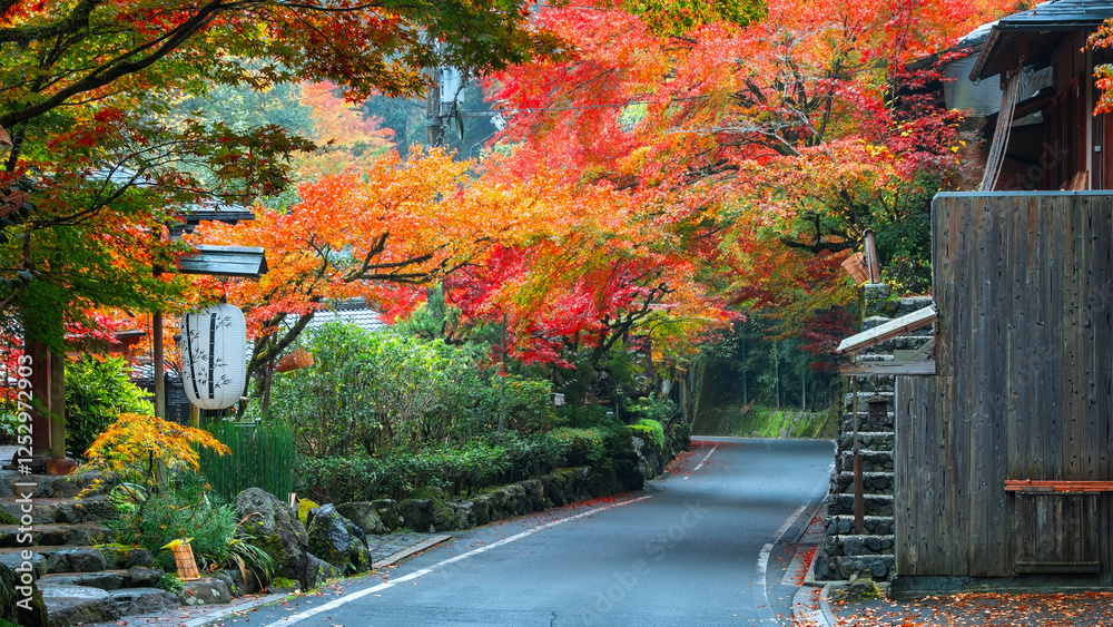 Obraz premium Kibune (Kifune) Suburban Road with Colorful Autumn Scenario in Kyoto, Japan