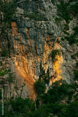 details of the colouring of the stones in the buitreras canyon. photo