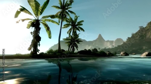 Palm trees from underwater view