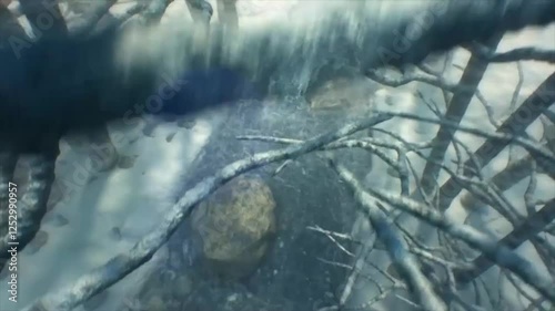 Snow falls, streams run