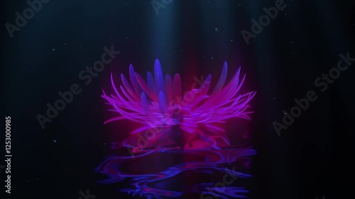 abstract flower, rays emanate