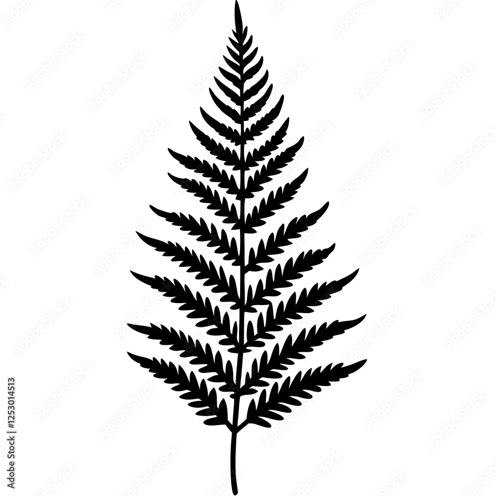Artistic Fern Leaf Outlines in Vector Artistic Fern Leaf Outlines in Vector